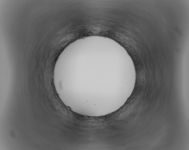 X0000113351105200910061013