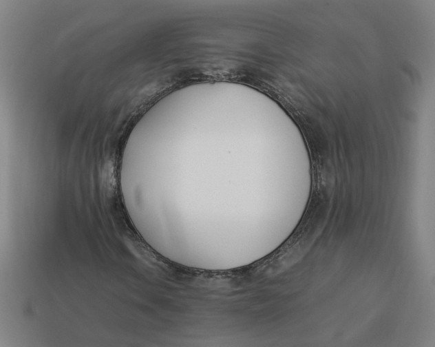 X0000113351106200910061013