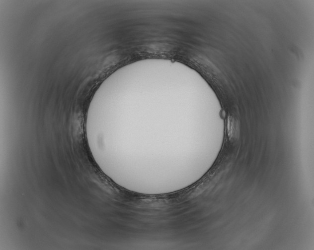 X0000113351107200910061013