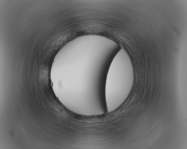 X0000113351108200910061013