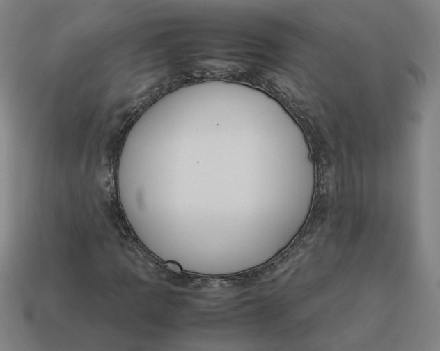 X0000113351109200910061013