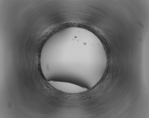 X0000113351110200910061013