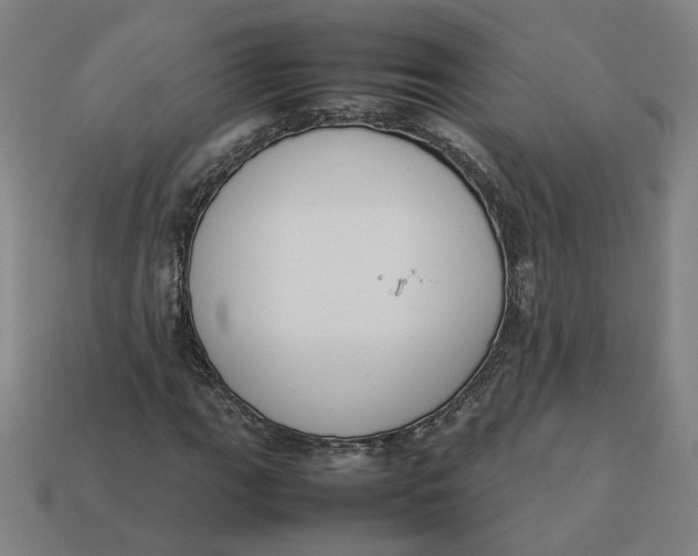 X0000113351111200910061013