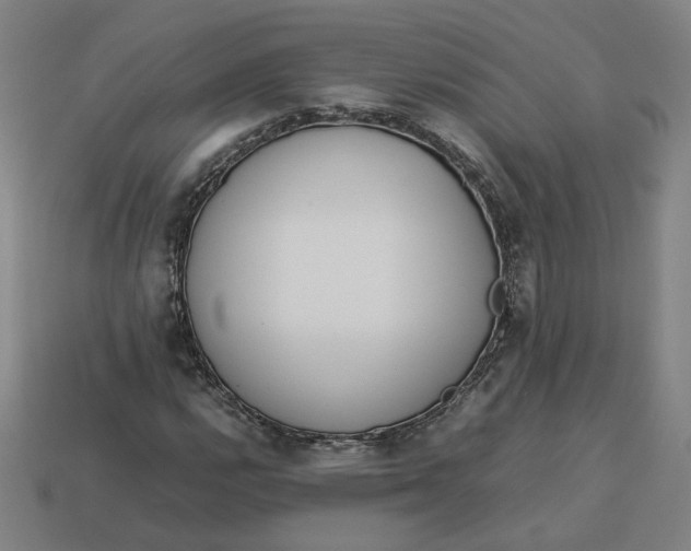 X0000113351112200910061013