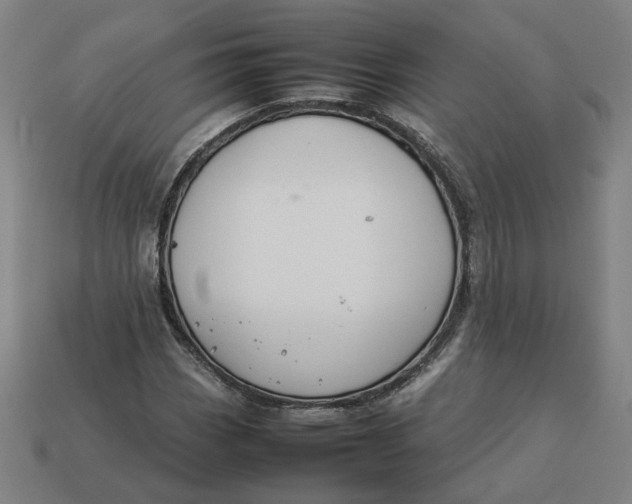 X0000113351113200910061013