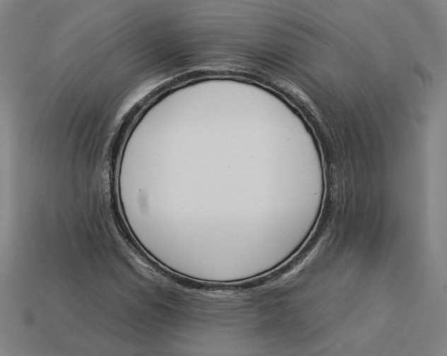 X0000113351114200910061013