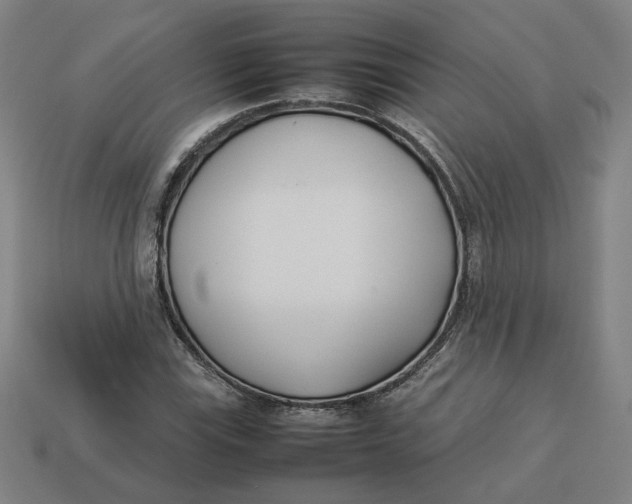 X0000113351115200910061013