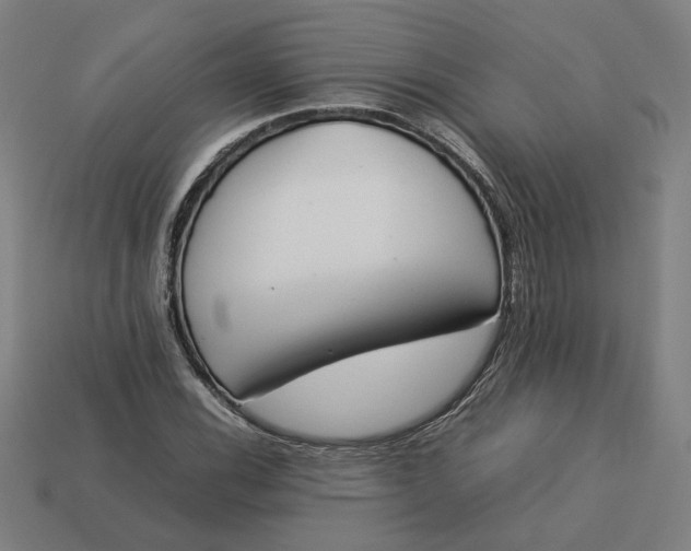 X0000113351116200910061013