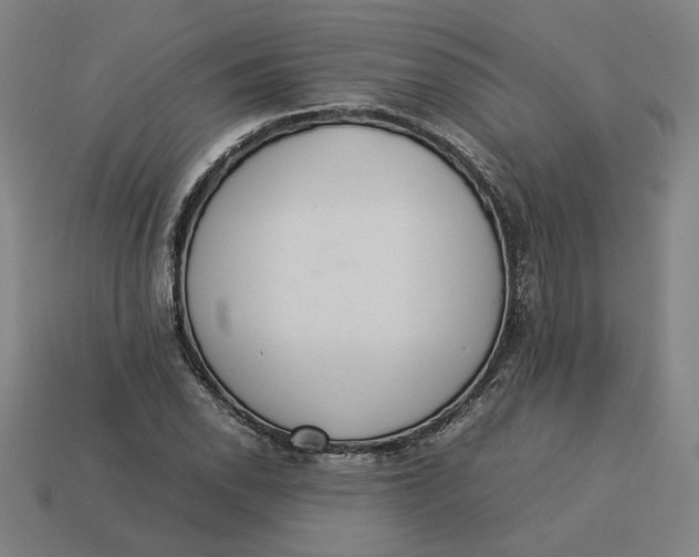 X0000113351118200910061013