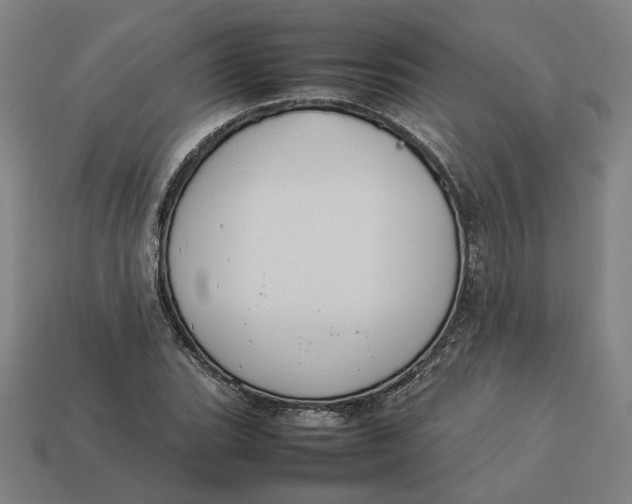 X0000113351119200910061013