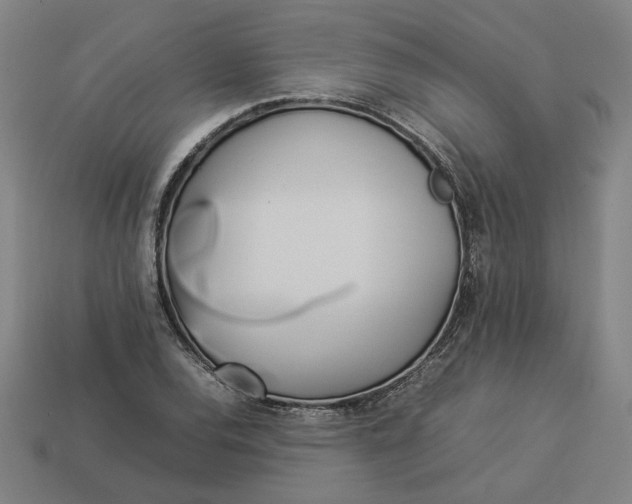 X0000113351120200910061013