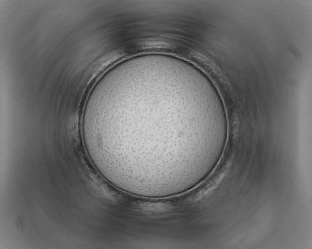 X0000113351121200910061013