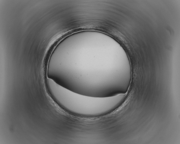 X0000113351122200910061013