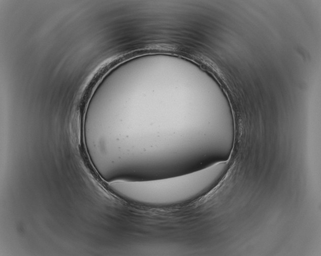 X0000113351123200910061013