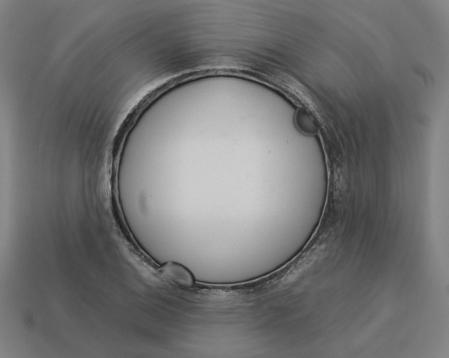 X0000113351124200910061013