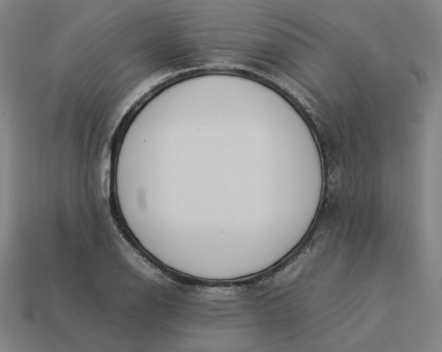 X0000113351126200910061013