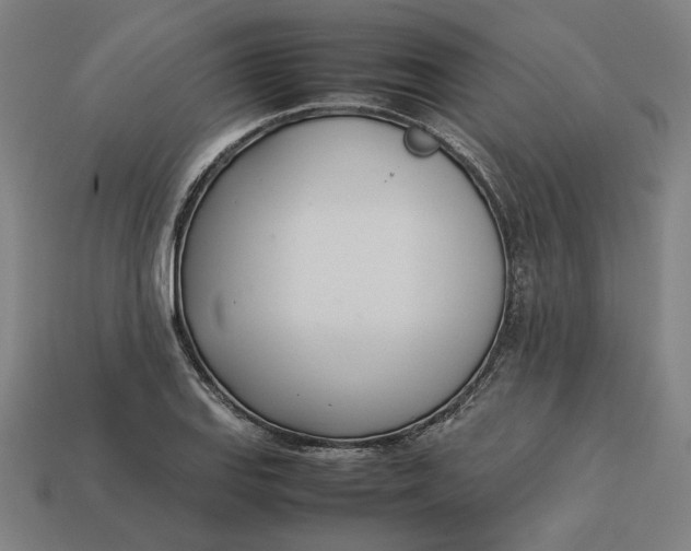 X0000113351127200910061013