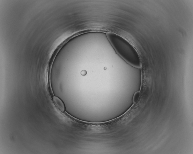 X0000113351128200910061013