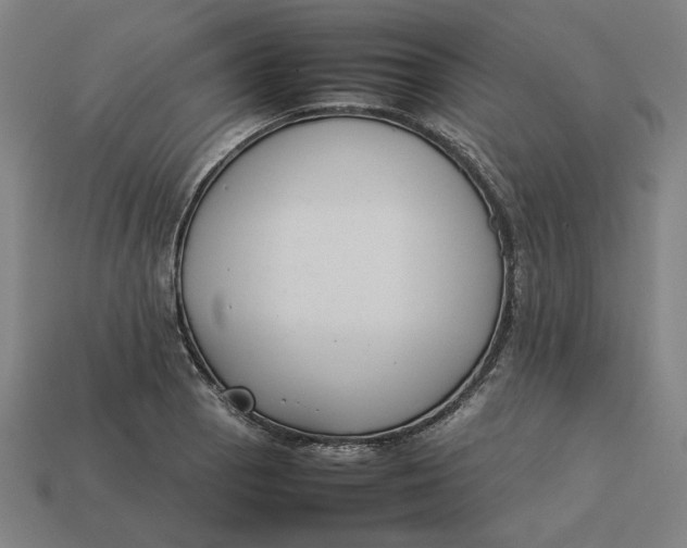 X0000113351129200910061013