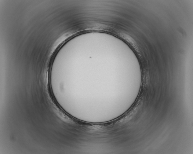 X0000113351130200910061013