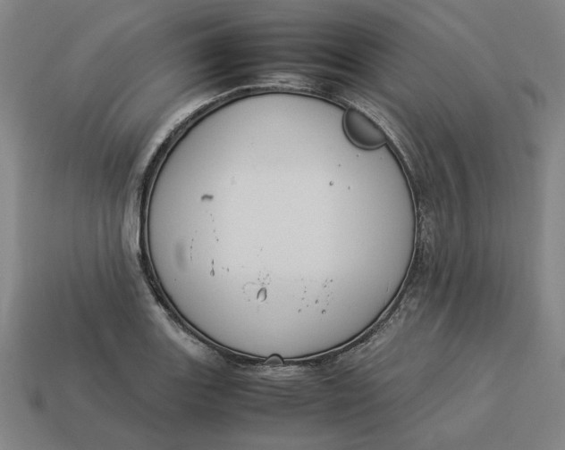 X0000113351131200910061013