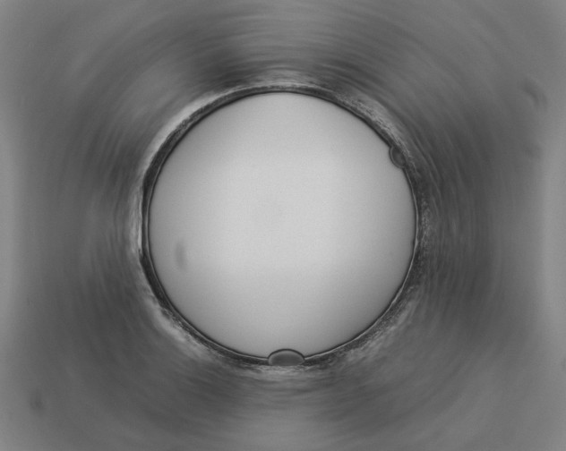 X0000113351132200910061013