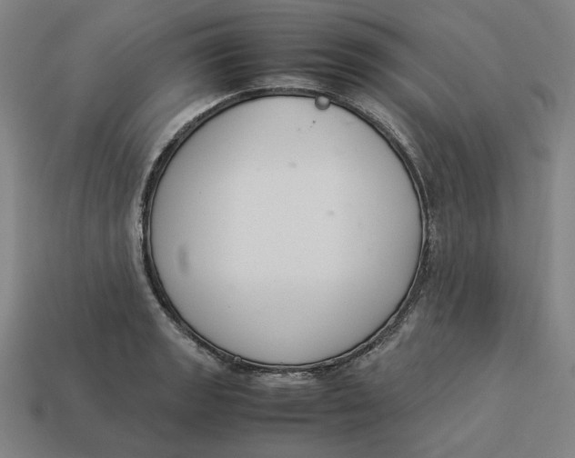 X0000113351133200910061013