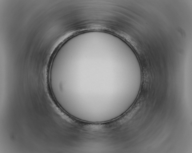 X0000113351134200910061013