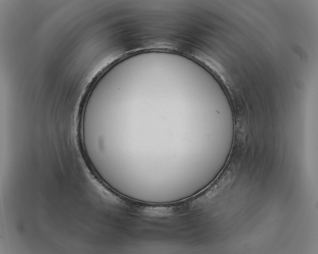 X0000113351135200910061013