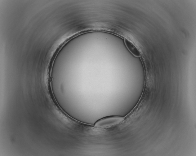 X0000113351136200910061013