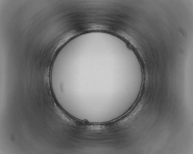 X0000113351137200910061013