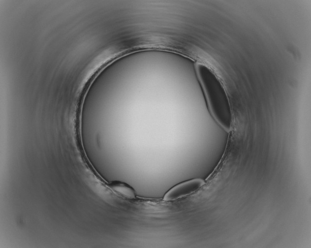 X0000113351138200910061013