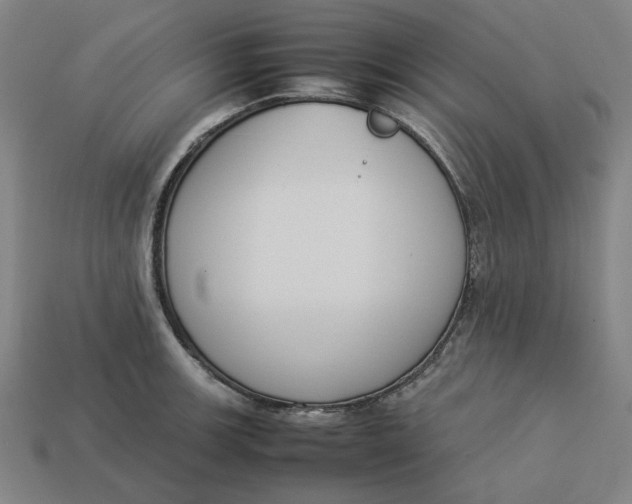 X0000113351139200910061013