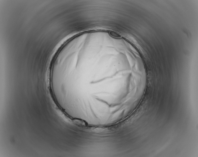 X0000113351140200910061013