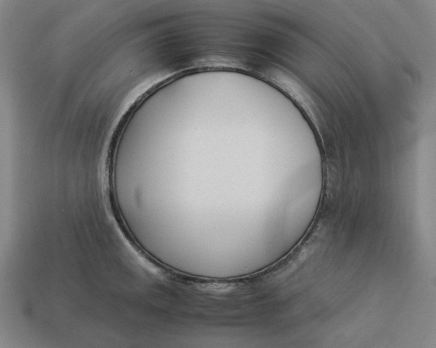 X0000113351141200910061013