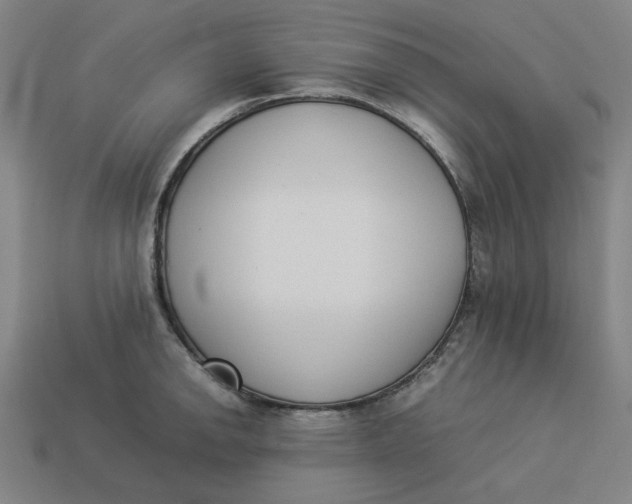 X0000113351142200910061013