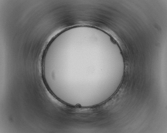 X0000113351143200910061013