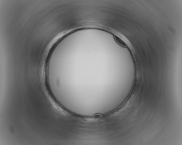 X0000113351144200910061013