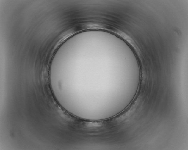 X0000113351145200910061013