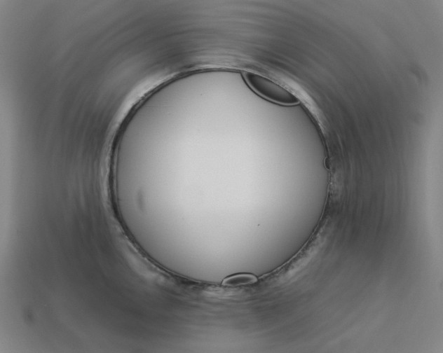 X0000113351146200910061013