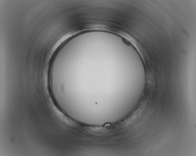 X0000113351147200910061013