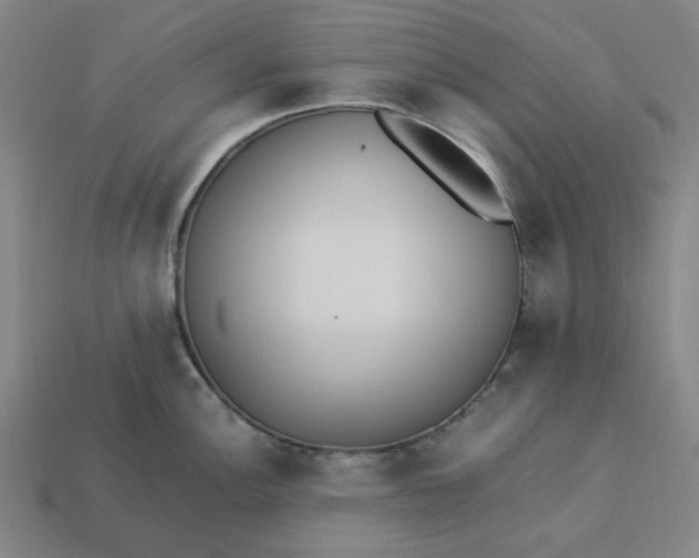 X0000113351148200910061013