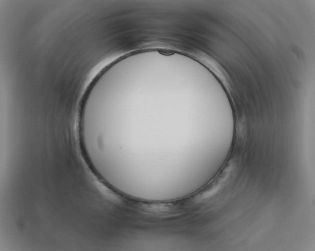 X0000113351149200910061013