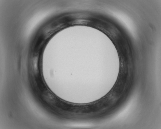 X0000113351150200910061013