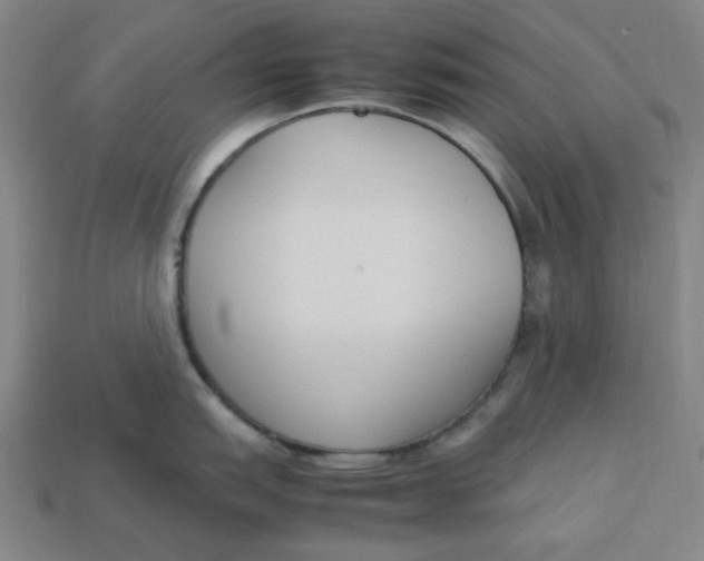 X0000113351151200910061013