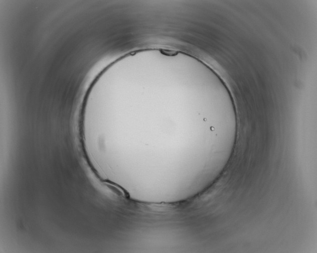 X0000113351152200910061013