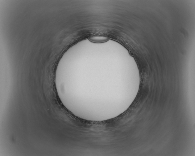 X0000113351153200910061013