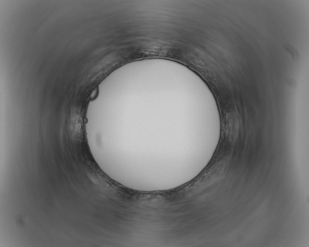 X0000113351154200910061013