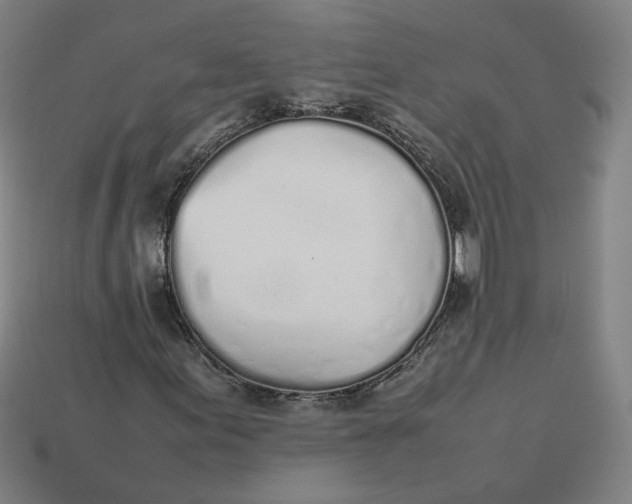 X0000113351155200910061013