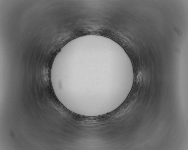 X0000113351156200910061013